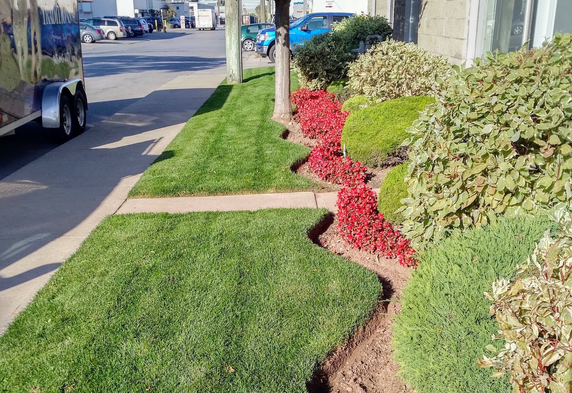 Gardens & Maintenance